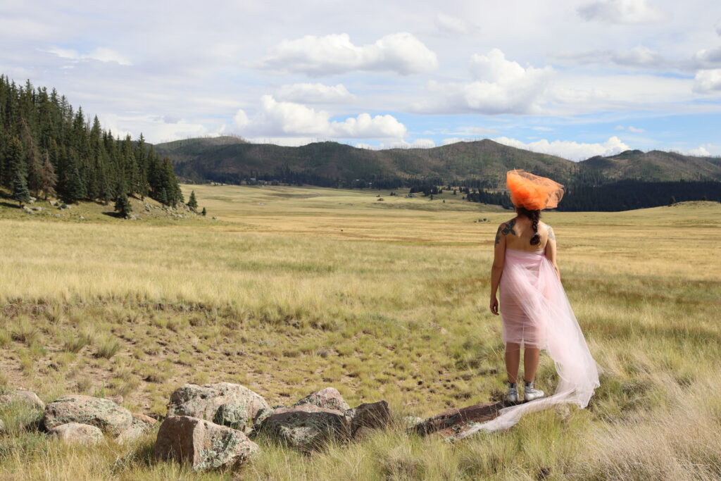 A figure stands in an arid grassland, green hills in the distance, facing away; they wear an outfit of pink and orange tulle, blowing in the wind